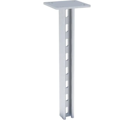 STRUT стойка двойная ООО "СТАЛЬНЫЕ СИСТЕМЫ" 41x21, 2,5 мм, L=800 мм SR2680-18 1