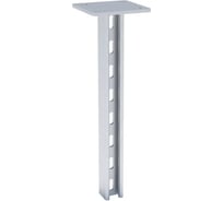 STRUT стойка двойная ООО "СТАЛЬНЫЕ СИСТЕМЫ" 41x21, 2,5 мм, L=3000 мм SR26300-18