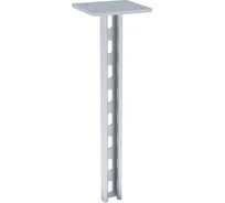 STRUT стойка ООО "СТАЛЬНЫЕ СИСТЕМЫ" 41x21, 2,5 мм, L=300 мм SR2330-18