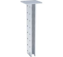 STRUT стойка двойная ООО "СТАЛЬНЫЕ СИСТЕМЫ" 41x41, 2,0 мм, L=2000 мм SR25200-17