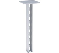 STRUT стойка двойная ООО "СТАЛЬНЫЕ СИСТЕМЫ" 41x21, 2,5 мм, L=2500 мм, гор. цинк SR26250-28