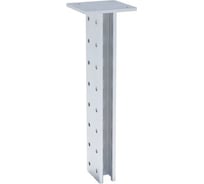 STRUT стойка двойная ООО "СТАЛЬНЫЕ СИСТЕМЫ" 41x41, 2,0 мм, L=700 мм, гор. цинк SR2570-27