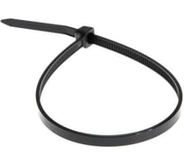 Хомут стяжка Pro Legend пластиковый 4х100, черный, 100шт. PL4910
