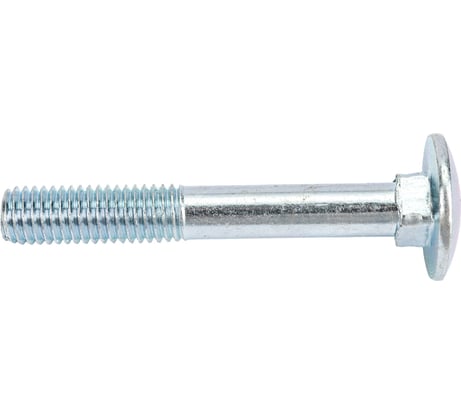 Болт Госкреп DIN603 М10х70 2 шт. 12-0015840