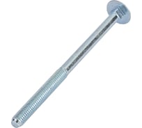 Болты Госкреп DIN603 М6х90 2 шт 12-0016270