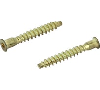 Мебельный шуруп-стяжка ЦКИ 5x50 ЛАТУНИР. 10 шт. 659160733