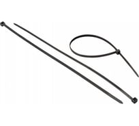 Стяжки для кабелей нейлоновые AURA 3,6x200 мм (100шт.), черные ACT-S200