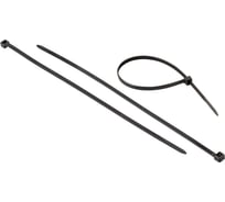 Стяжки для кабелей нейлоновые AURA 4,8x250 мм (100 шт.), черные ACT-S251