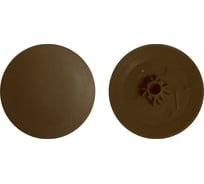 Заглушка ВИРТУОЗ № 2 дуб, 50 шт. 03867