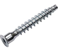 Винт-конфирмат Доброга 7x50 2 000 шт ЦБ-00026121