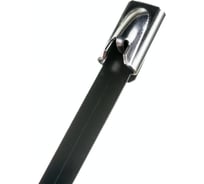 Стальной хомут с полимерным покрытием TDM ELECTRIC ХСП 304 4,6х600, 50 шт. SQ0582-0111