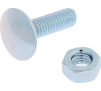 Мебельный болт ТУНДРА DIN 603, 6x20, с гайкой, цинк, 10 шт. 7156661
