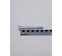 Болт Крепстор 8х100 мебельный DIN 603 оцинкованный, 50 шт 4665316940813