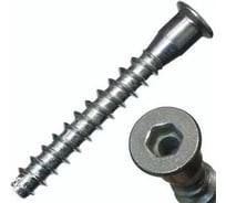 Винт-конфирмат КОСТИНСТРОЙ 7х70 с внутренним шестигранником (50шт.) 36050