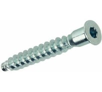 Винт-конфирмат 23 БОЛТА 7х70мм под шестигранник в органайзере, 40 шт. вк770форг-ф40