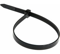 Ленточный хомут с нейлоновым язычком BERNER черный, 102x2.5 369943