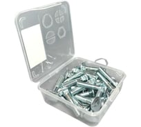 Болт мебельный 23 Болта 8х40 ОЦ DIN 603 в органайзере, 25 шт А05000804031007орг-ф25