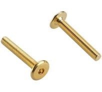 Мебельный винт М6x100 мм, латунир., HEX4, 20 шт. 43966