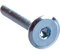 Мебельный винт ЦКИ Глобал М6х35 Ц 100 шт. 23835