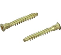 Мебельный шуруп-стяжка ЦКИ Глобал 5x50 латунир. 20 шт. 2872