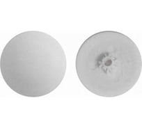 Заглушка для шлица PZ2 ЦКИ Глобал D12 мм, белая, 250 шт. 2422