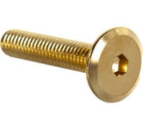 Мебельный винт ЦКИ Глобал М6х30 латунир. HEX 4.0 уп. 100 шт. 61920