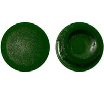 Заглушка Росдюбель D 10мм (зелёная) 1000шт.арт. 19-0245