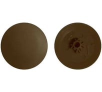 Заглушка Росдюбель PH №2/PZ №2 (дуб) 1000шт арт. 16-1740