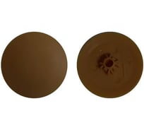 Заглушка Росдюбель PH №2/PZ №2 (т.корич.) 1000шт арт. 16-1730