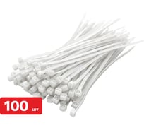 Хомут-стяжка SAMGRUPP нейлоновый 2,5х100 белый 100 шт/упак SAMC-117125100