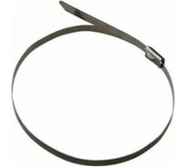 Стальной хомут General Lighting Systems GNC-46-350-S 4.6x350 мм, сталь 304 с напылением, 50 шт. 475370