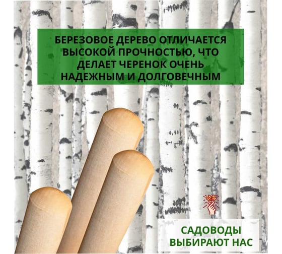 Деревянный нагель ООО Агростройлидер Ф25 95