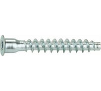 Конфирмат с внутренним шестигранником STARFIX 5x50 мм, 10 шт. SMZ1-07506-10