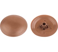 Декоративная заглушка для самореза STARFIX PH2, коричневая, 50 шт. SMZ1-63013-50