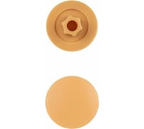Декоративная заглушка для конфирмата STARFIX сосна, 50 шт. SMZ1-67854-50
