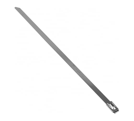 Хомут EKF FlexLock PROxima из нержавеющей стали AISI 304 4.6x150, 10 шт. plc-fl-tss-304-4.6x150-r