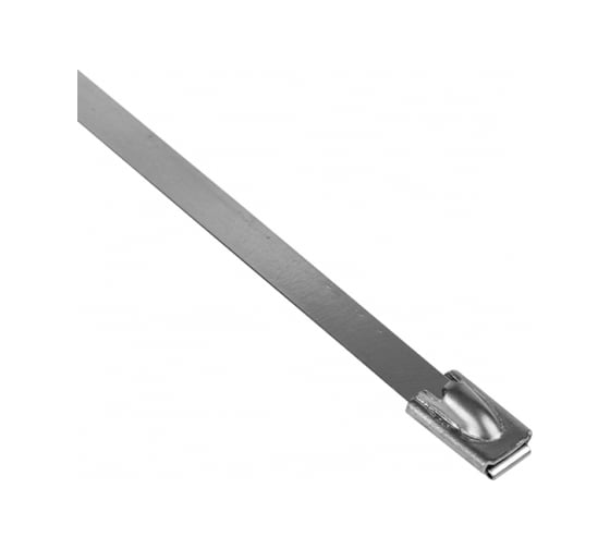 Хомут EKF FlexLock PROxima из нержавеющей стали AISI 304 4.6x200, 10 шт. plc-fl-tss-304-4.6x200-r