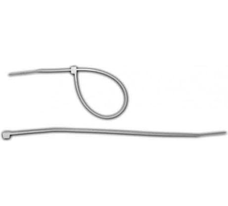 Хомуты монтажные 100 шт. (3.6х100 мм) 1/500 Энкор 29980