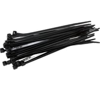 Хомут-стяжка РОССНА 2,5x100 черный, пластиковый, 100 шт. Р860801
