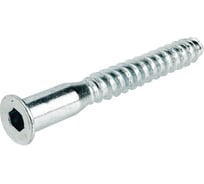 Мебельный болт Hafele Confirmat  шестигранный SW4, оцинкованный, 7 x 50 мм упаковка 100 штук 264.43.600