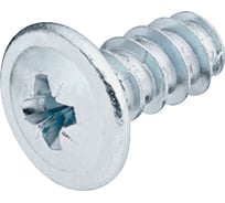 Цокольный винт Hafele никелированный, 6,2x19 мм 013.10.190