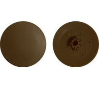 Заглушка под саморез КРЕП-КОМП №2, дуб, PH2/PZ2, 1000 шт. зпс2 дуб