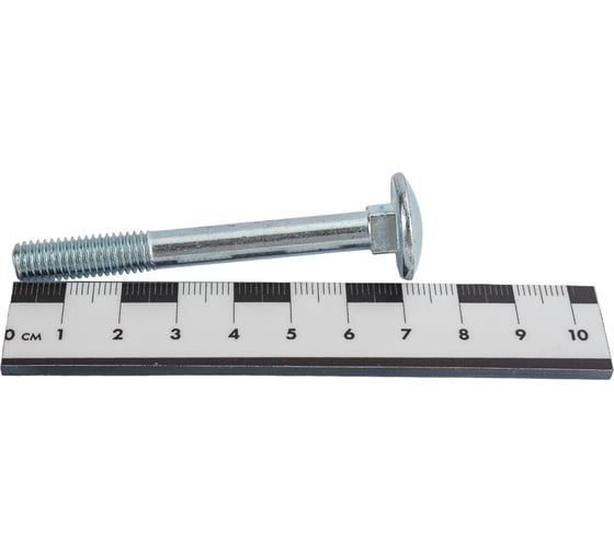 Мебельный болт МЕТАЛЛСЕРВИС М8x70, DIN 603, цинк, 20 шт. 1240698