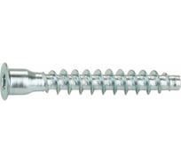Конфирмат с внутренним шестигранником STARFIX 5х50 мм, 5 кг SMV1-07506-5