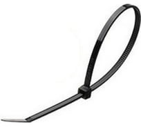 Хомут TDM ELECTRIC 7,6x300 мм, нейлон, черный, 100 шт. SQ0515-0223