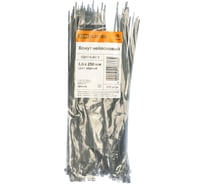 Хомут TDM ELECTRIC 3,6x250 мм, нейлон, черный, 100 шт. SQ0515-0212