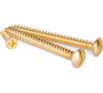 Винты для накладного выключателя WERKEL ретро, золото, 3.шт. a038395