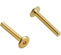 Мебельный винт М6x100 мм, латунир., HEX4, 20 шт. 43966