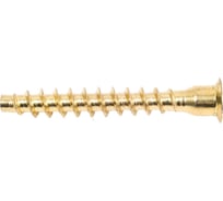 Меб. шуруп-стяжка ЕВРОПАРТНЕР латунир., 7x50 мм, 12 шт. 6 1627 4