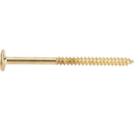 Мебельный шуруп с плоской головой ЕВРОПАРТНЕР латунированный, 6,3x90 (10 шт.) 6 1761 2